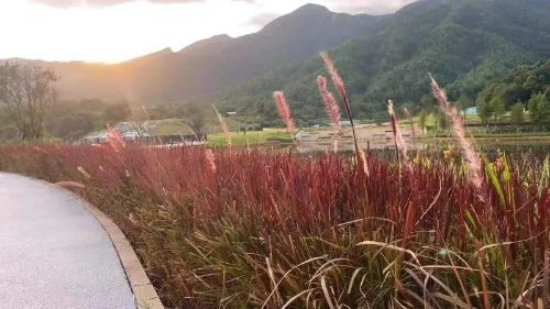 微信图片_20220106083807.jpg