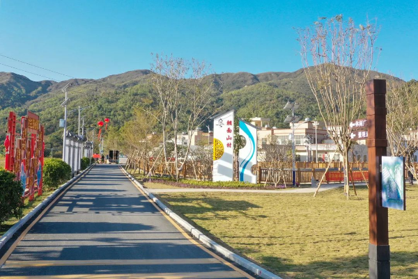已编辑图片