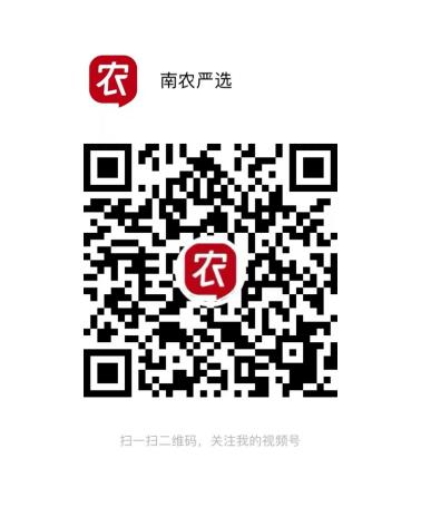 图片11.png